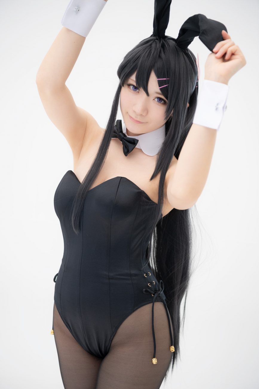 s_bunny003